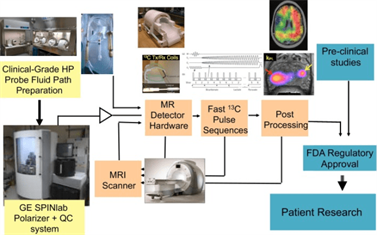 Гиперполяризация клеток схема
