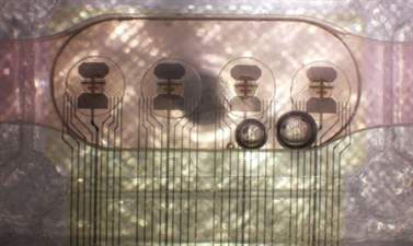 биологические процессоры (изображение)