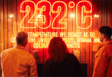 пространство Гиннесс фото